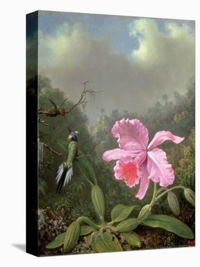 Still Life with an Orchid and a Pair of Hummingbirds, C.1890S-Martin Johnson Heade-Stretched Canvas