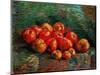 Still Life With Apples, 1887-1888-Vincent van Gogh-Mounted Giclee Print