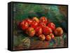 Still Life With Apples, 1887-1888-Vincent van Gogh-Framed Stretched Canvas