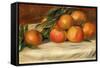 Still Life with Apples and Oranges, C.1901-Pierre-Auguste Renoir-Framed Stretched Canvas