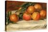 Still Life with Apples and Oranges, C.1901-Pierre-Auguste Renoir-Stretched Canvas