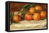 Still Life with Apples and Oranges, C.1901-Pierre-Auguste Renoir-Framed Stretched Canvas