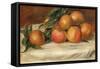 Still Life with Apples and Oranges-Pierre-Auguste Renoir-Framed Stretched Canvas