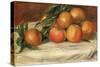 Still Life with Apples and Oranges-Pierre-Auguste Renoir-Stretched Canvas