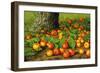 Still Life with Apples by a Tree-Levi Wells Prentice-Framed Giclee Print