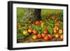 Still Life with Apples by a Tree-Levi Wells Prentice-Framed Giclee Print