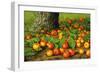 Still Life with Apples by a Tree-Levi Wells Prentice-Framed Giclee Print