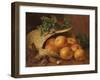 Still Life with Apples, Hazelnuts and Holly, 1898-Eloise Harriet Stannard-Framed Giclee Print