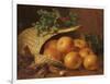 Still Life with Apples, Hazelnuts and Holly, 1898-Eloise Harriet Stannard-Framed Giclee Print