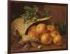 Still Life with Apples, Hazelnuts and Holly, 1898-Eloise Harriet Stannard-Framed Giclee Print