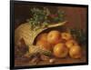 Still Life with Apples, Hazelnuts and Holly, 1898-Eloise Harriet Stannard-Framed Giclee Print