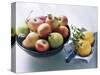 Still Life with Apples, Pears and Quinces-Eising Studio - Food Photo and Video-Stretched Canvas