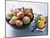 Still Life with Apples, Pears and Quinces-Eising Studio - Food Photo and Video-Mounted Photographic Print