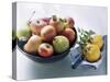 Still Life with Apples, Pears and Quinces-Eising Studio - Food Photo and Video-Stretched Canvas