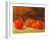 Still Life with Apples-Gustave Courbet-Framed Giclee Print