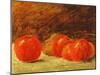 Still Life with Apples-Gustave Courbet-Mounted Giclee Print