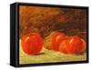 Still Life with Apples-Gustave Courbet-Framed Stretched Canvas