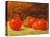 Still Life with Apples-Gustave Courbet-Stretched Canvas