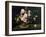 Still Life with Asters, 1859-Gustave Courbet-Framed Giclee Print