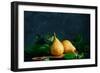 Still Life with Autumn Pears-Dina Belenko-Framed Photographic Print