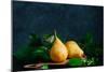 Still Life with Autumn Pears-Dina Belenko-Mounted Photographic Print