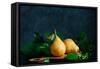 Still Life with Autumn Pears-Dina Belenko-Framed Stretched Canvas