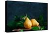 Still Life with Autumn Pears-Dina Belenko-Stretched Canvas