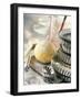 Still Life with Ball of Pastry and Various Baking Utensils-Jean-francois Rivière-Framed Photographic Print