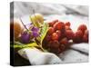 Still Life with Berries, Leaf and Flower-Foodcollection-Stretched Canvas