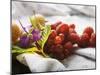 Still Life with Berries, Leaf and Flower-Foodcollection-Mounted Photographic Print