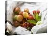 Still Life with Berries, Leaves and Flower-Foodcollection-Stretched Canvas