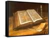 Still Life with Bible, 1885-Vincent van Gogh-Framed Stretched Canvas
