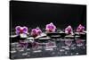 Still Life with Black Stone and Five Orchid-crystalfoto-Stretched Canvas