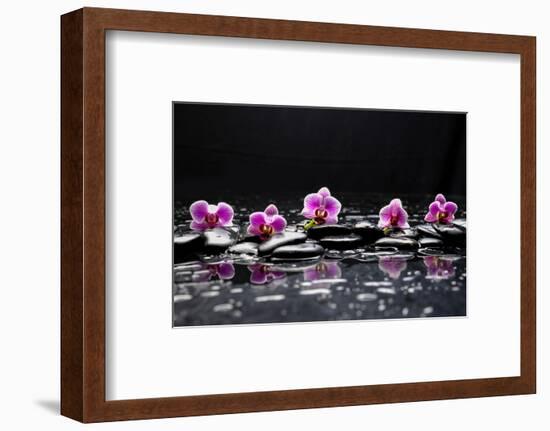 Still Life with Black Stone and Five Orchid-crystalfoto-Framed Photographic Print