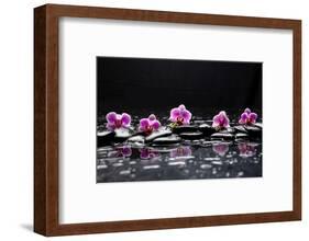 Still Life with Black Stone and Five Orchid-crystalfoto-Framed Photographic Print