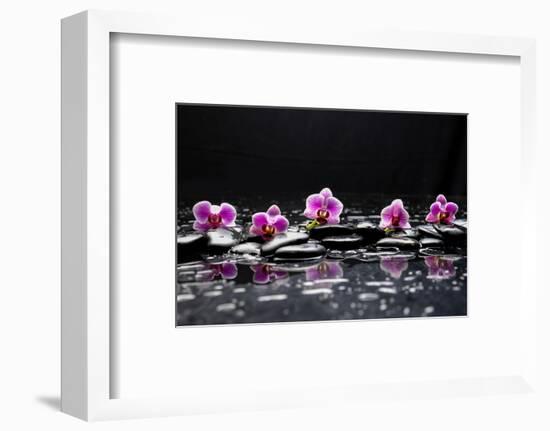 Still Life with Black Stone and Five Orchid-crystalfoto-Framed Photographic Print