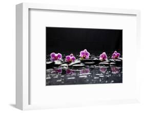 Still Life with Black Stone and Five Orchid-crystalfoto-Framed Photographic Print