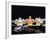 Still Life with Black Stone and Three Orchid-crystalfoto-Framed Photographic Print