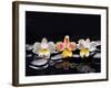 Still Life with Black Stone and Three Orchid-crystalfoto-Framed Photographic Print