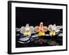 Still Life with Black Stone and Three Orchid-crystalfoto-Framed Photographic Print