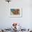 Still Life with Blue Teapot 2-Susan Adams-Framed Giclee Print displayed on a wall