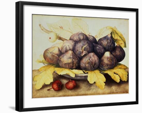 Still Life with Bowl of Figs, c.1650-Giovanna Garzoni-Framed Giclee Print