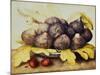 Still Life with Bowl of Figs, c.1650-Giovanna Garzoni-Mounted Giclee Print