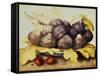 Still Life with Bowl of Figs, c.1650-Giovanna Garzoni-Framed Stretched Canvas