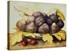 Still Life with Bowl of Figs, c.1650-Giovanna Garzoni-Stretched Canvas