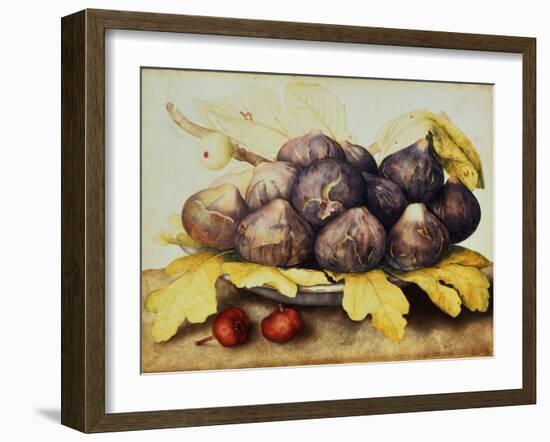 Still Life with Bowl of Figs, c.1650-Giovanna Garzoni-Framed Premium Giclee Print