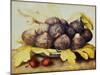 Still Life with Bowl of Figs, c.1650-Giovanna Garzoni-Mounted Premium Giclee Print