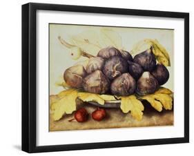 Still Life with Bowl of Figs, c.1650-Giovanna Garzoni-Framed Giclee Print