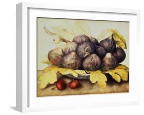 Still Life with Bowl of Figs, c.1650-Giovanna Garzoni-Framed Giclee Print