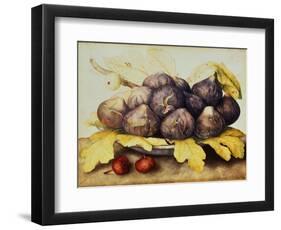Still Life with Bowl of Figs, c.1650-Giovanna Garzoni-Framed Premium Giclee Print